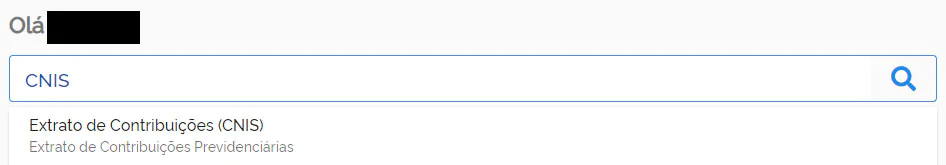 Pesquisas CNIS