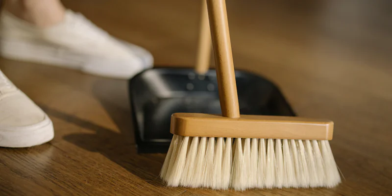 aposentadoria da diarista