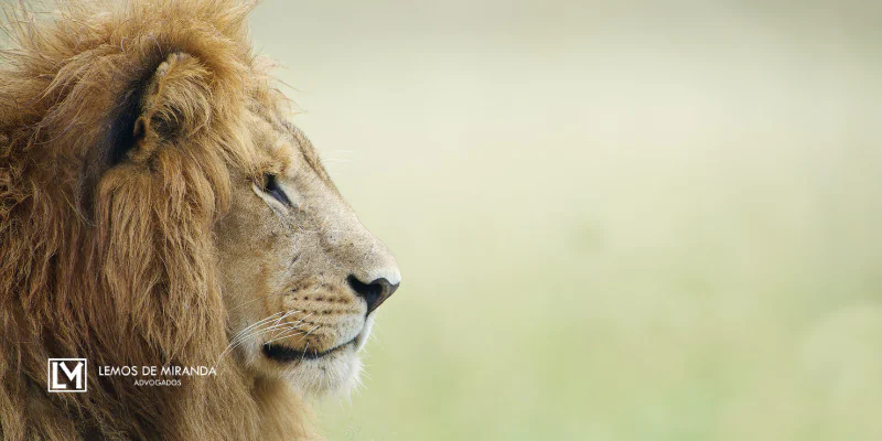 Imposto de renda na aposentadoria